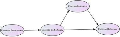 A Study on the Correlation Between Undergraduate Students’ Exercise Motivation, Exercise Self-Efficacy, and Exercise Behaviour Under the COVID-19 Epidemic Environment